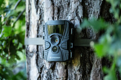 Bresser 60° Wildlife Observation 5–20MP Camera - 8