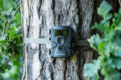 Bresser 60° Wildlife Observation 5–20MP Camera - 10