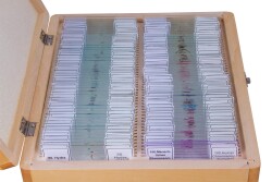 Bresser Prepared Slides Set 100pcs, with case - 3