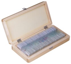 Bresser Prepared Slides Set 50pcs, with case - 1