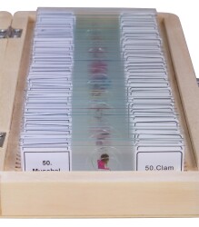 Bresser Prepared Slides Set 50pcs, with case - 2