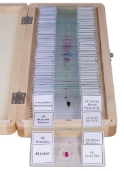 Bresser Prepared Slides Set 50pcs, with case - 3