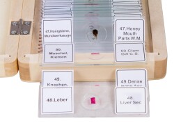 Bresser Prepared Slides Set 50pcs, with case - 4