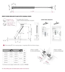 Italiana Ferramenta K12 Düşer Kapak Pistonu L:244 (48060200UZ) - 2