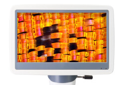 Levenhuk D95L LCD Dijital Mikroskop - 6