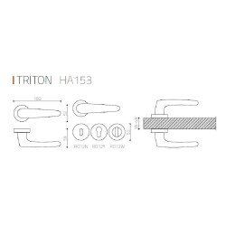 System Triton Rozetli Kapı Kolu Gold / Altın Renk (HA153RO12 GL) - 2